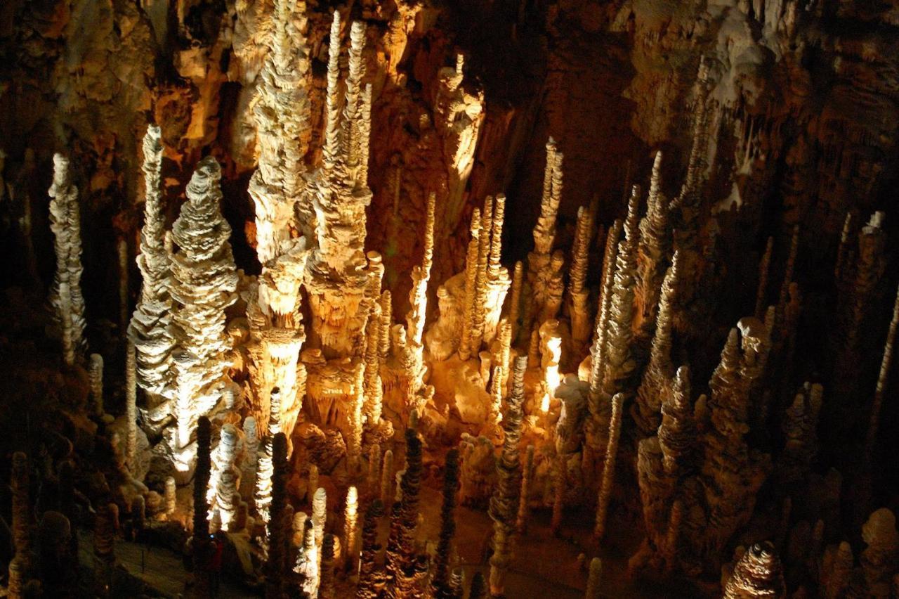 Domaine Aigoual Cevennes Otel Meyrueis Dış mekan fotoğraf
